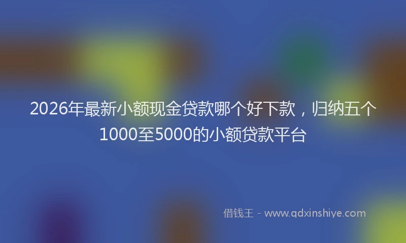 2026年最新小额现金贷款哪个好下款，归纳五个1000至5000的小额贷款平台