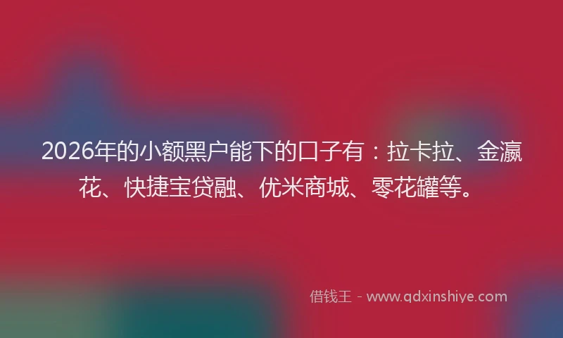 2026年的小额黑户能下的口子有：拉卡拉、金瀛花、快捷宝贷融、优米商城、零花罐等。