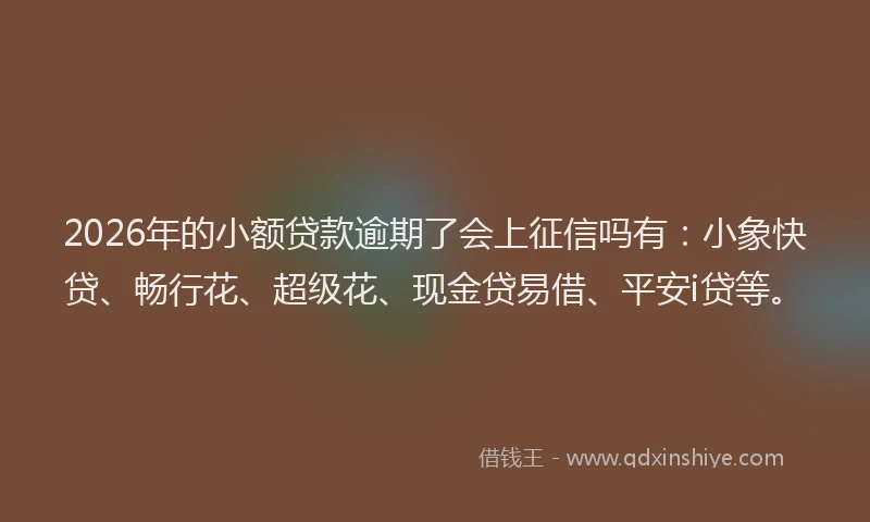 2026年的小额贷款逾期了会上征信吗有：小象快贷、畅行花、超级花、现金贷易借、平安i贷等。