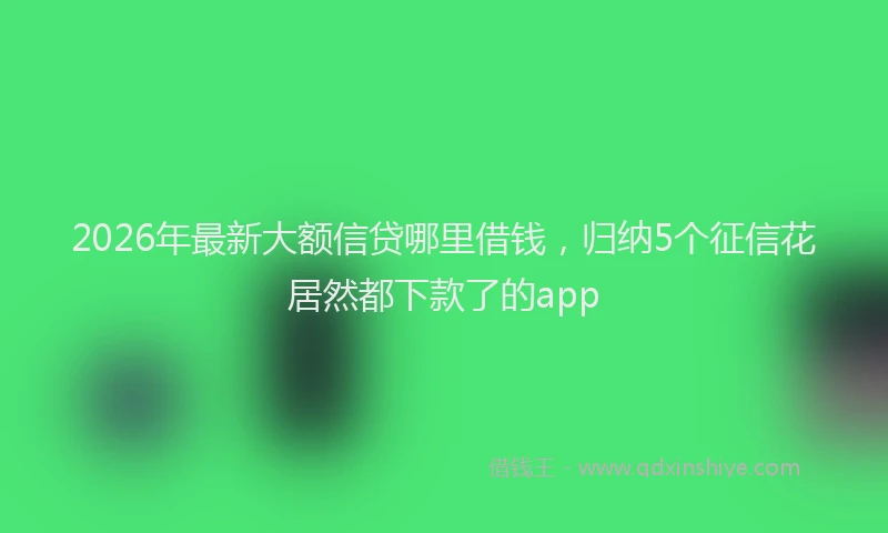 2026年最新大额信贷哪里借钱，归纳5个征信花居然都下款了的app