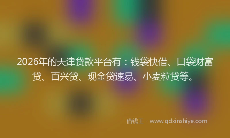 2026年的天津贷款平台有：钱袋快借、口袋财富贷、百兴贷、现金贷速易、小麦粒贷等。