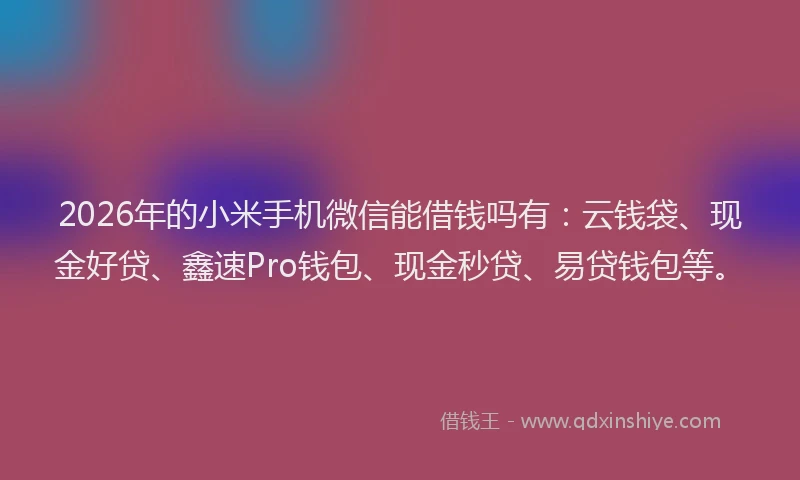 2026年的小米手机微信能借钱吗有：云钱袋、现金好贷、鑫速Pro钱包、现金秒贷、易贷钱包等。
