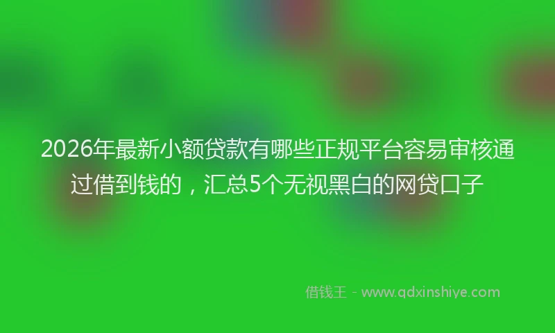 2026年最新小额贷款有哪些正规平台容易审核通过借到钱的，汇总5个无视黑白的网贷口子