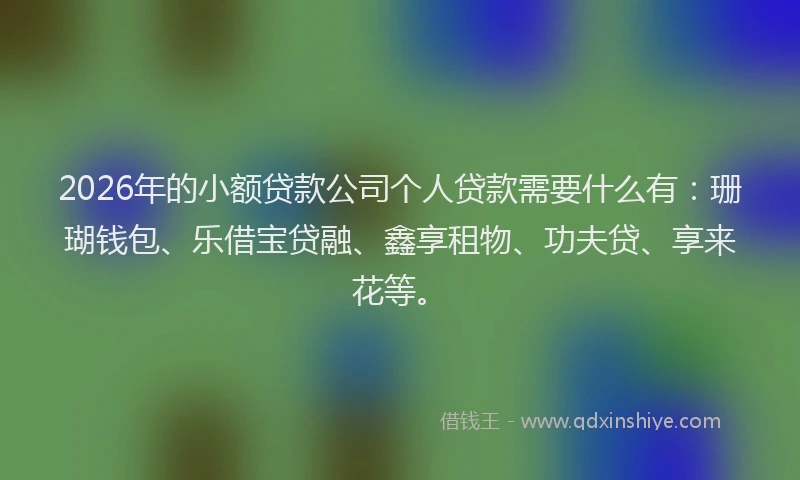 2026年的小额贷款公司个人贷款需要什么有：珊瑚钱包、乐借宝贷融、鑫享租物、功夫贷、享来花等。