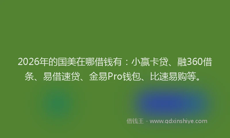 2026年的国美在哪借钱有：小赢卡贷、融360借条、易借速贷、金易Pro钱包、比速易购等。