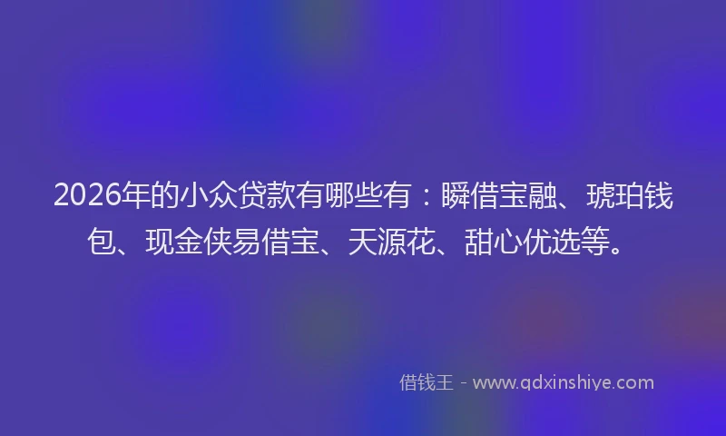 2026年的小众贷款有哪些有：瞬借宝融、琥珀钱包、现金侠易借宝、天源花、甜心优选等。