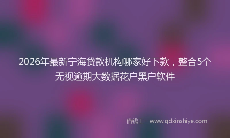 2026年最新宁海贷款机构哪家好下款，整合5个无视逾期大数据花户黑户软件