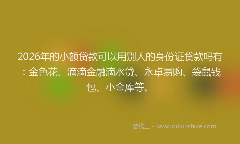 2026年的小额贷款可以用别人的身份证贷款吗有：金色花、滴滴金融滴水贷、永卓易购、袋鼠钱包、小金库等。