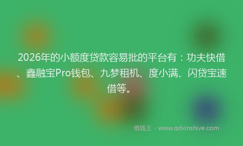 2026年的小额度贷款容易批的平台有：功夫快借、鑫融宝Pro钱包、九梦租机、度小满、闪贷宝速借等。