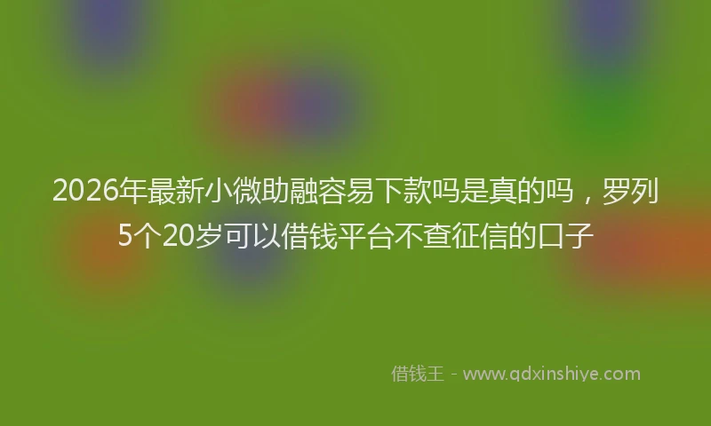 2026年最新小微助融容易下款吗是真的吗，罗列5个20岁可以借钱平台不查征信的口子