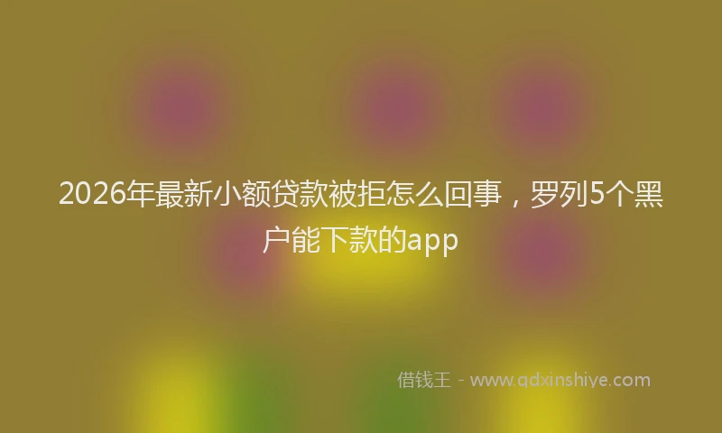 2026年最新小额贷款被拒怎么回事，罗列5个黑户能下款的app