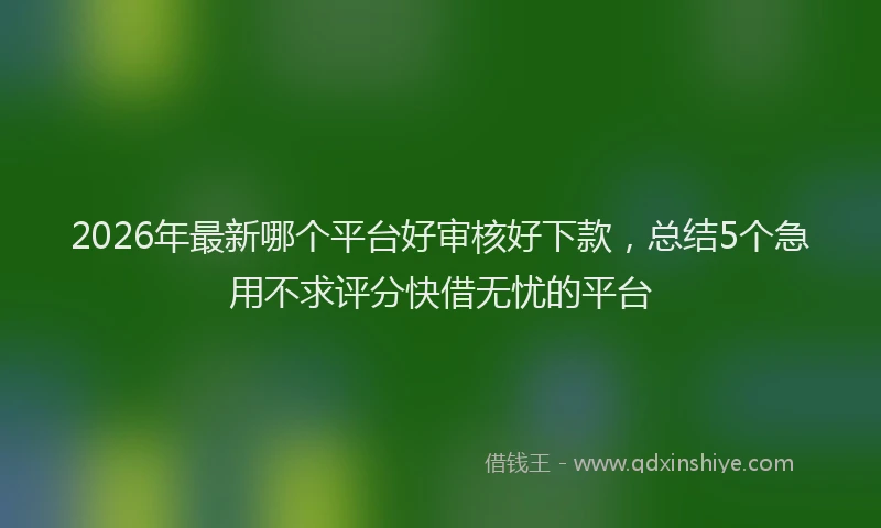 2026年最新哪个平台好审核好下款，总结5个急用不求评分快借无忧的平台