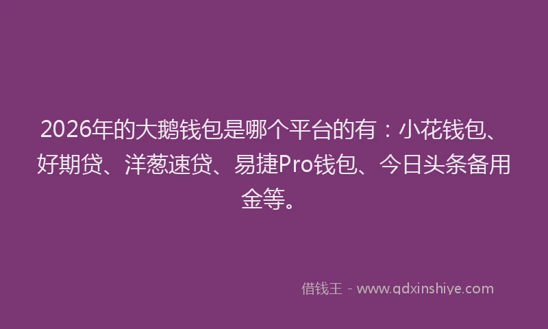 2026年的大鹅钱包是哪个平台的有：小花钱包、好期贷、洋葱速贷、易捷Pro钱包、今日头条备用金等。