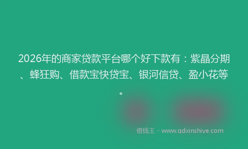 2026年的商家贷款平台哪个好下款有:紫晶分期、蜂狂购、借款宝快贷宝、银河信贷、盈小花等。