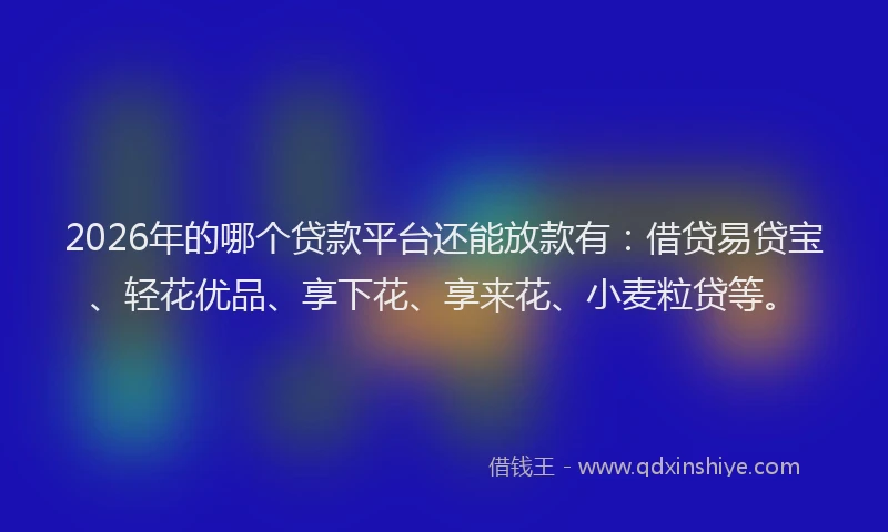 2026年的哪个贷款平台还能放款有:借贷易贷宝、轻花优品、享下花、享来花、小麦粒贷等。