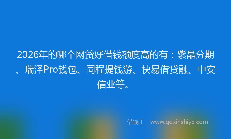 2026年的哪个网贷好借钱额度高的有：紫晶分期、瑞泽Pro钱包、同程提钱游、快易借贷融、中安信业等。
