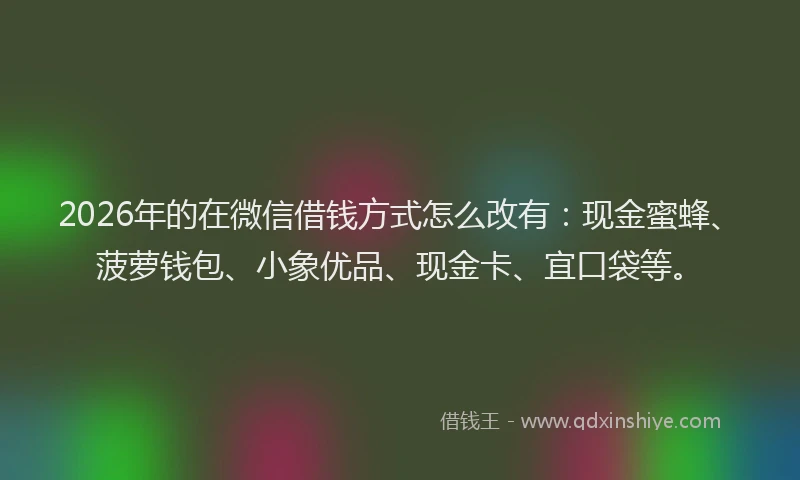 2026年的在微信借钱方式怎么改有：现金蜜蜂、菠萝钱包、小象优品、现金卡、宜口袋等。