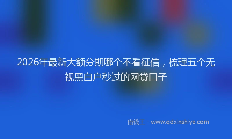 2026年最新大额分期哪个不看征信，梳理五个无视黑白户秒过的网贷口子