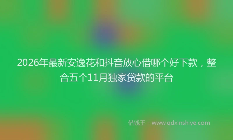 2026年最新安逸花和抖音放心借哪个好下款，整合五个11月独家贷款的平台