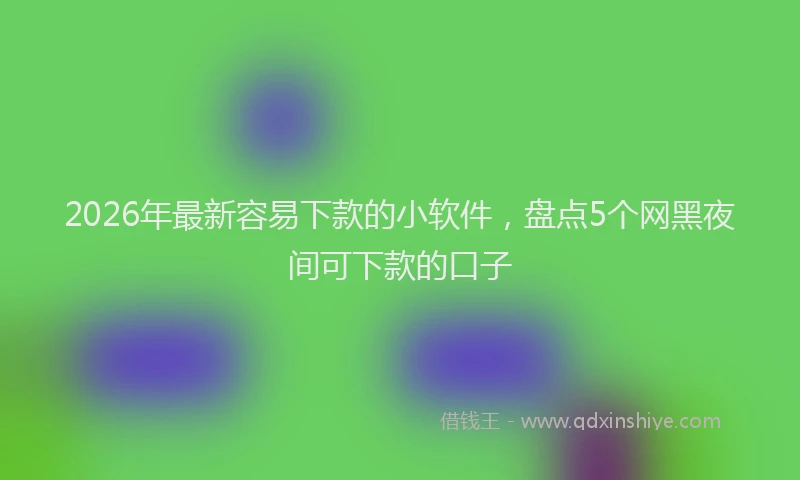 2026年最新容易下款的小软件，盘点5个网黑夜间可下款的口子