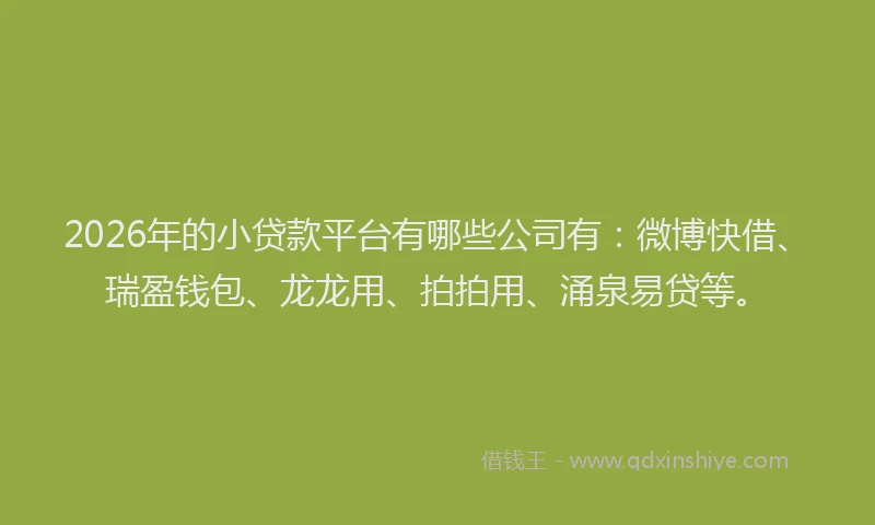 2026年的小贷款平台有哪些公司有：微博快借、瑞盈钱包、龙龙用、拍拍用、涌泉易贷等。
