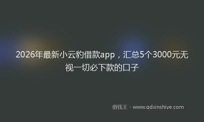 2026年最新小云豹借款app，汇总5个3000元无视一切必下款的口子