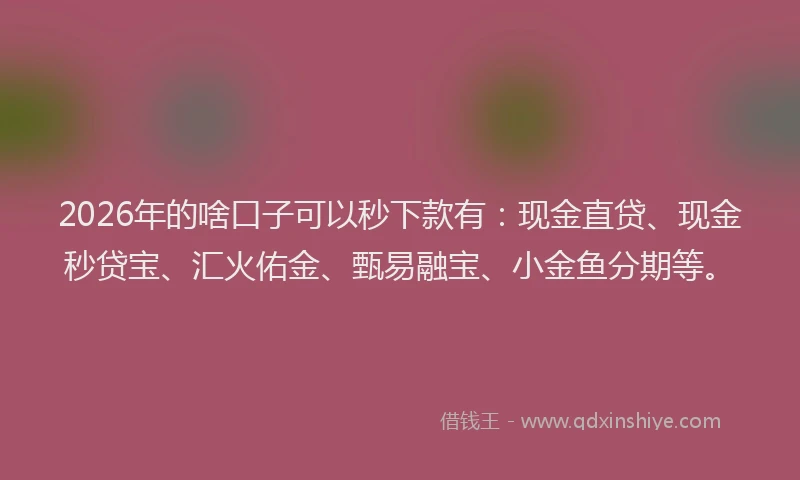 2026年的啥口子可以秒下款有:现金直贷、现金秒贷宝、汇火佑金、甄易融宝、小金鱼分期等。