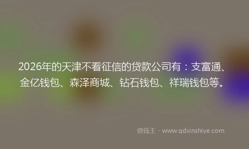 2026年的天津不看征信的贷款公司有：支富通、金亿钱包、森泽商城、钻石钱包、祥瑞钱包等。
