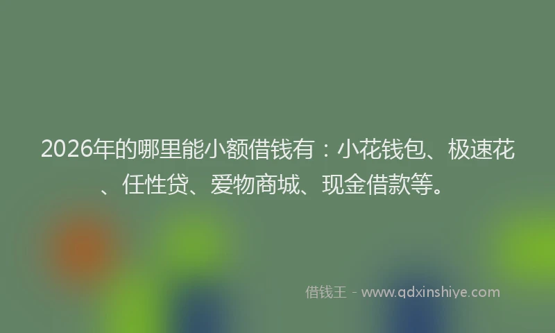 2026年的哪里能小额借钱有:小花钱包、极速花、任性贷、爱物商城、现金借款等。