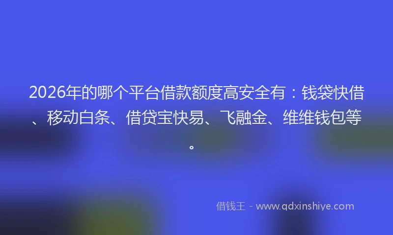 2026年的哪个平台借款额度高安全有:钱袋快借、移动白条、借贷宝快易、飞融金、维维钱包等。