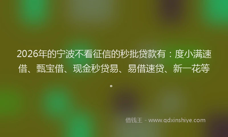 2026年的宁波不看征信的秒批贷款有：度小满速借、甄宝借、现金秒贷易、易借速贷、新一花等。