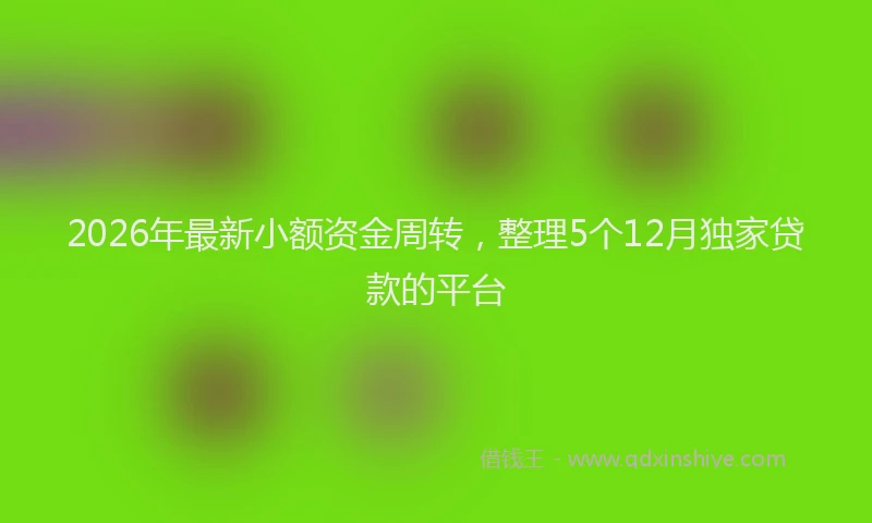 2026年最新小额资金周转，整理5个12月独家贷款的平台