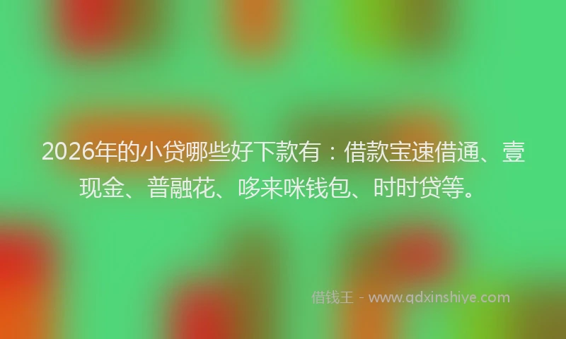 2026年的小贷哪些好下款有：借款宝速借通、壹现金、普融花、哆来咪钱包、时时贷等。