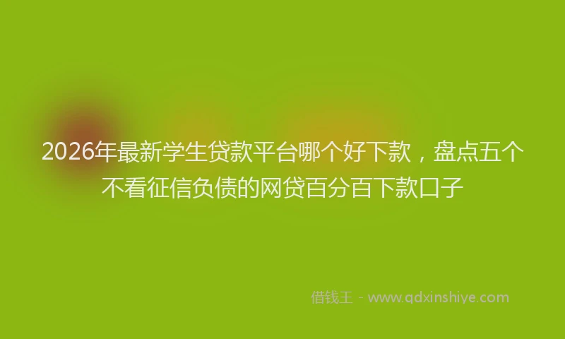 2026年最新学生贷款平台哪个好下款，盘点五个不看征信负债的网贷百分百下款口子