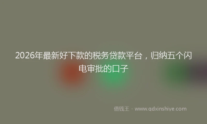 2026年最新好下款的税务贷款平台，归纳五个闪电审批的口子