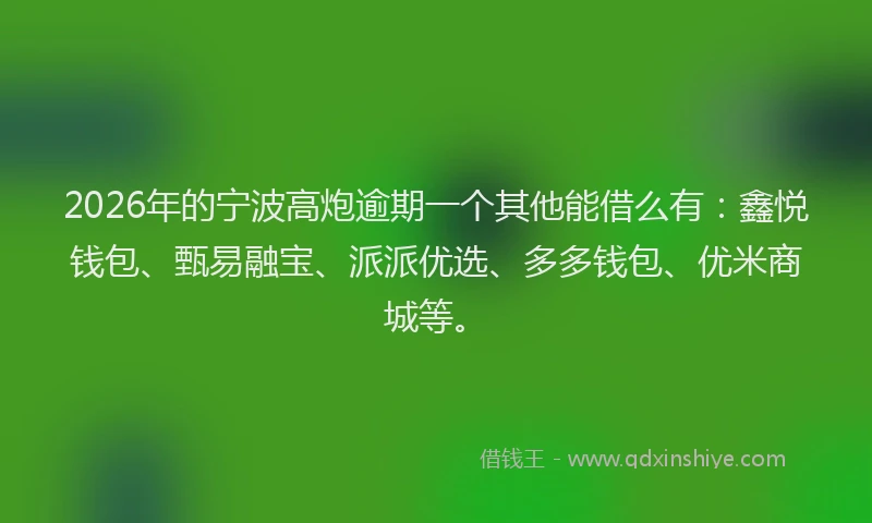 2026年的宁波高炮逾期一个其他能借么有：鑫悦钱包、甄易融宝、派派优选、多多钱包、优米商城等。