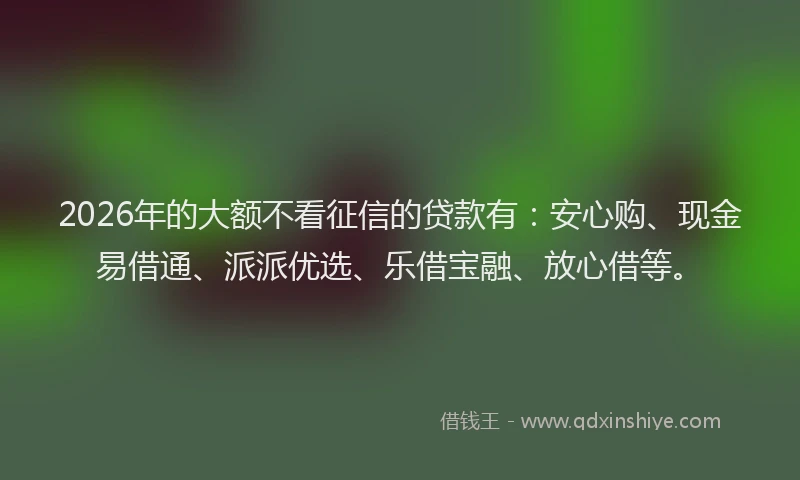 2026年的大额不看征信的贷款有：安心购、现金易借通、派派优选、乐借宝融、放心借等。