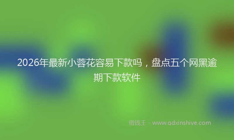 2026年最新小蓉花容易下款吗，盘点五个网黑逾期下款软件