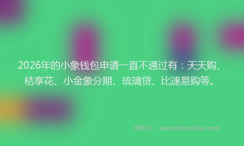2026年的小象钱包申请一直不通过有：天天购、桔享花、小金象分期、琉璃贷、比速易购等。