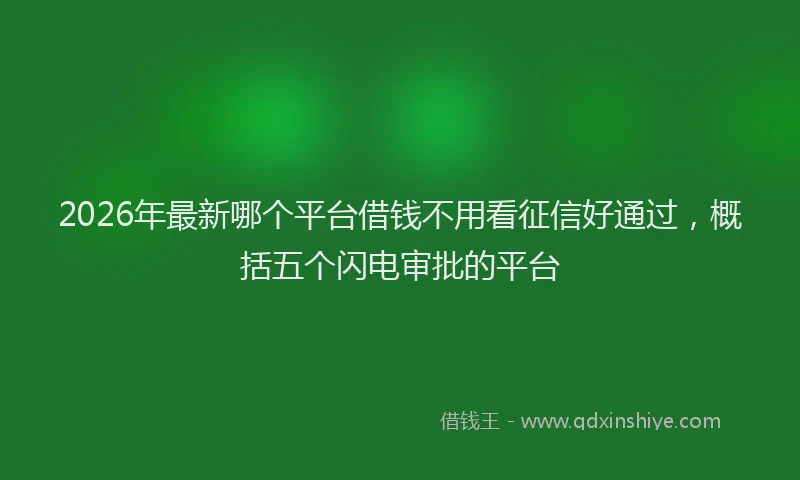 2026年最新哪个平台借钱不用看征信好通过,概括五个闪电审批的平台
