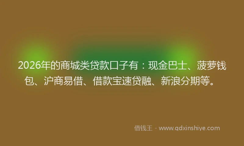2026年的商城类贷款口子有：现金巴士、菠萝钱包、沪商易借、借款宝速贷融、新浪分期等。