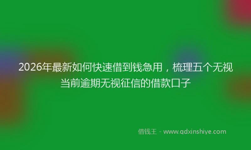 2026年最新如何快速借到钱急用，梳理五个无视当前逾期无视征信的借款口子