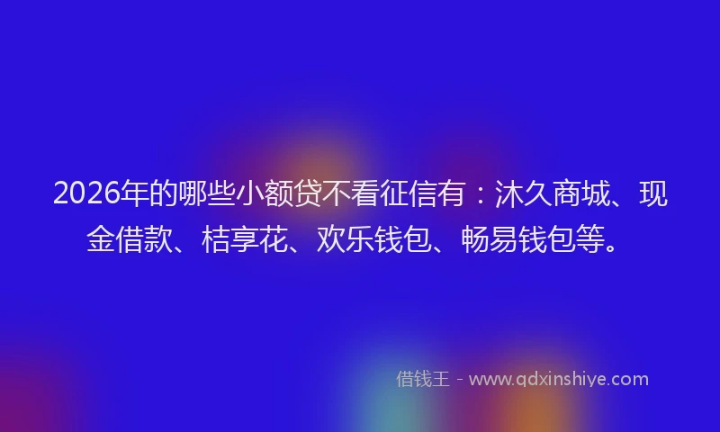 2026年的哪些小额贷不看征信有:沐久商城、现金借款、桔享花、欢乐钱包、畅易钱包等。