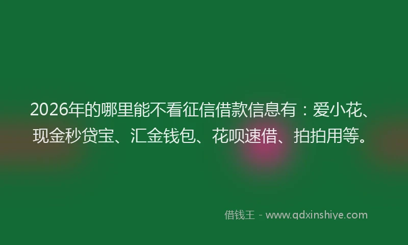 2026年的哪里能不看征信借款信息有：爱小花、现金秒贷宝、汇金钱包、花呗速借、拍拍用等。