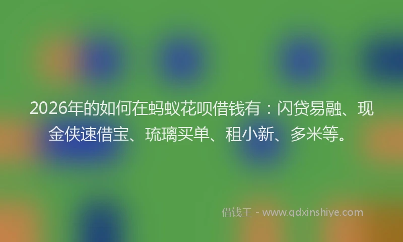 2026年的如何在蚂蚁花呗借钱有：闪贷易融、现金侠速借宝、琉璃买单、租小新、多米等。