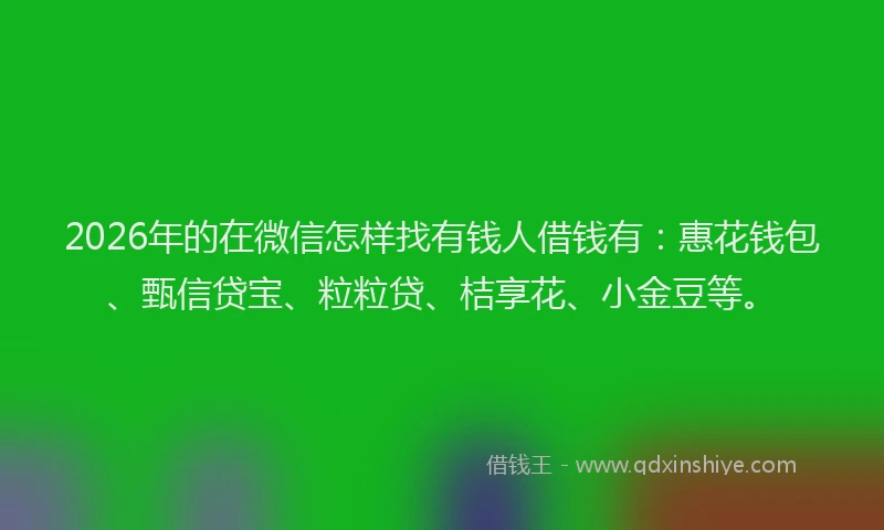 2026年的在微信怎样找有钱人借钱有:惠花钱包、甄信贷宝、粒粒贷、桔享花、小金豆等。