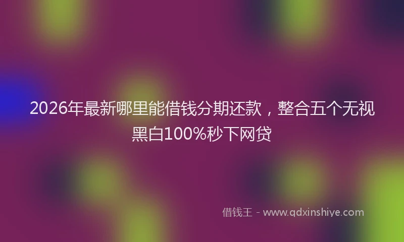 2026年最新哪里能借钱分期还款，整合五个无视黑白100%秒下网贷