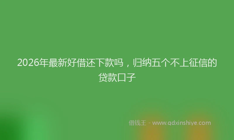 2026年最新好借还下款吗，归纳五个不上征信的贷款口子