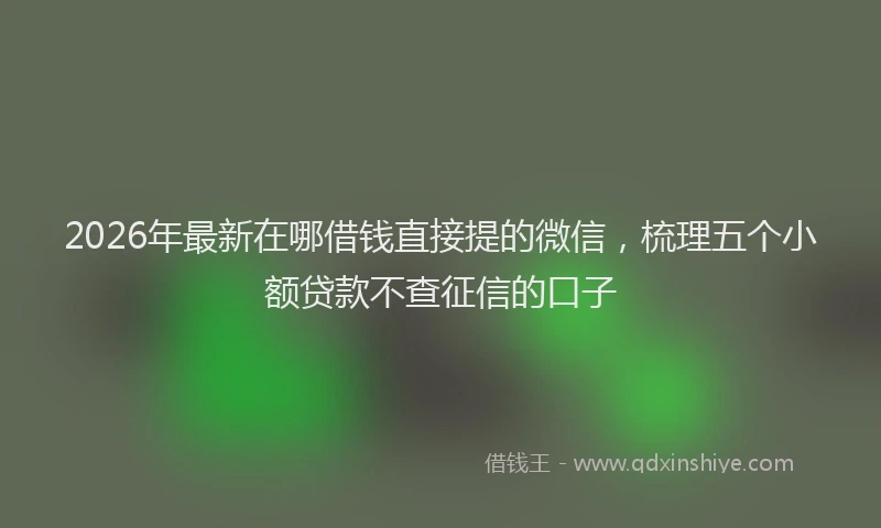 2026年最新在哪借钱直接提的微信，梳理五个小额贷款不查征信的口子