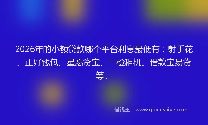 2026年的小额贷款哪个平台利息最低有：射手花、正好钱包、星愿贷宝、一橙租机、借款宝易贷等。